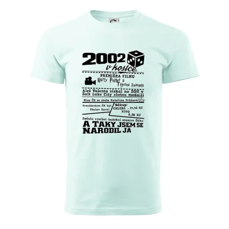 2002 v kostce