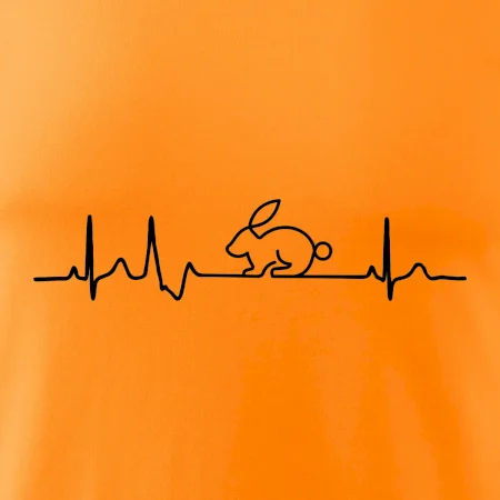 EKG králík