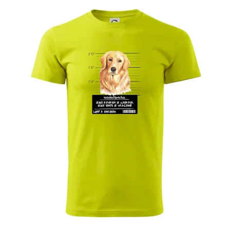Lump a darebák zlatý retrívr