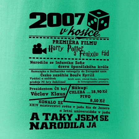 2007 v kostce