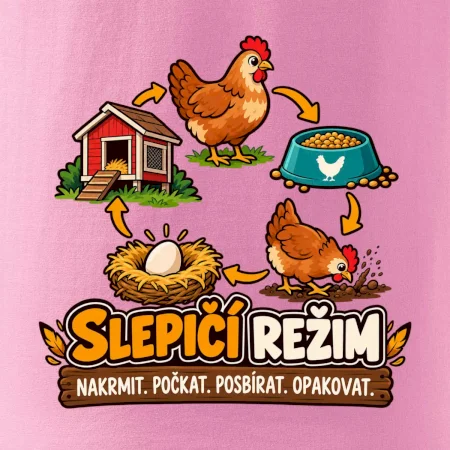 Slepičí režim od krmení po sběr vajec