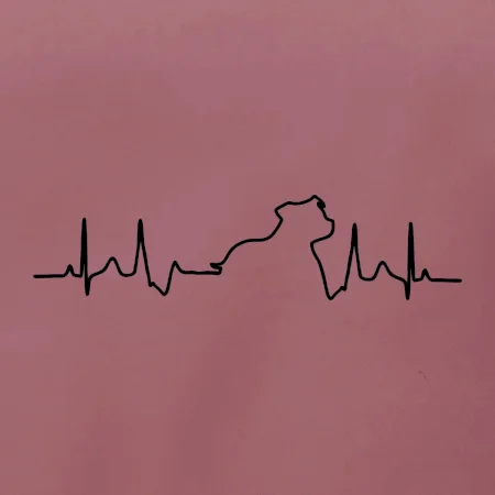 Stafordšírsky bulteriér EKG