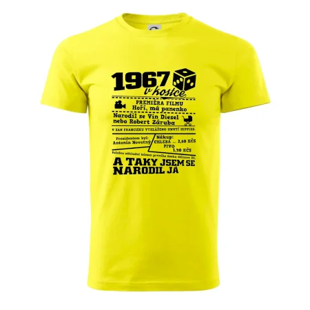 1967 v kostce