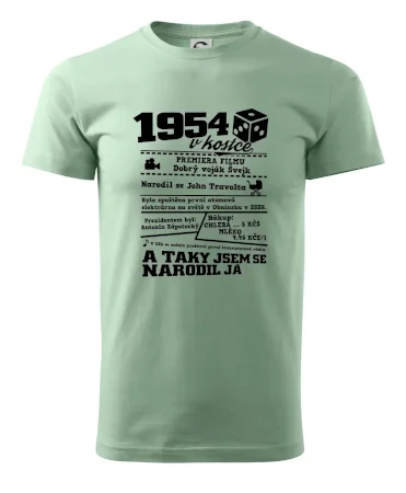 1954 v kostce