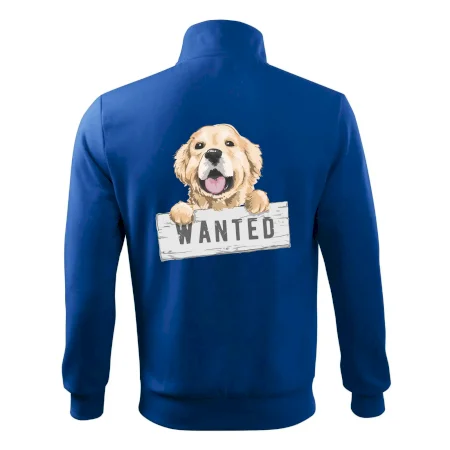 Zlatý retriever - štěně wanted
