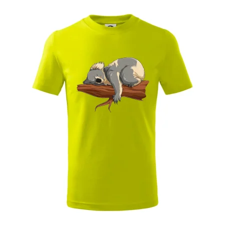 Koala na větvi