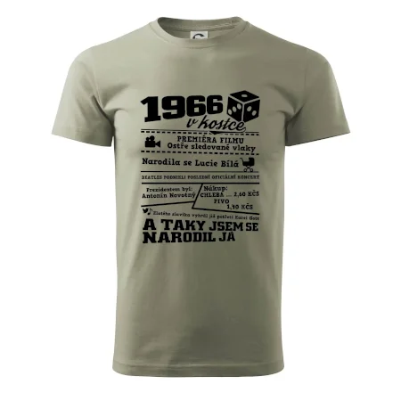 1966 v kostce