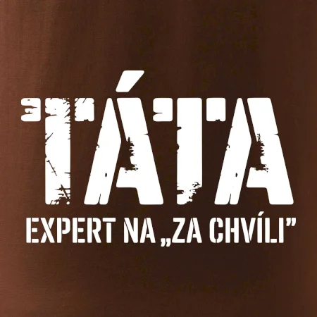 Táta - expert na za chvíli