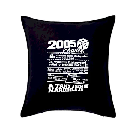 2005 v kostce
