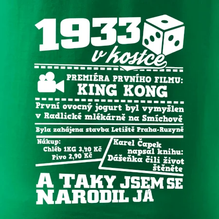 1933 v kostce