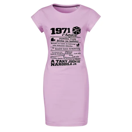 1971 v kostce