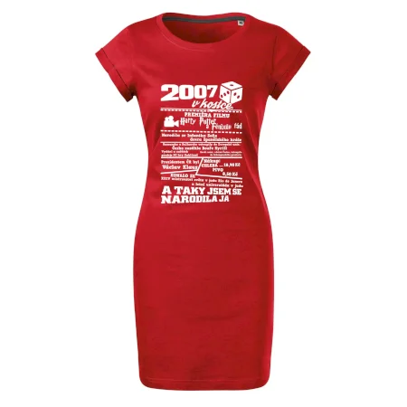2007 v kostce