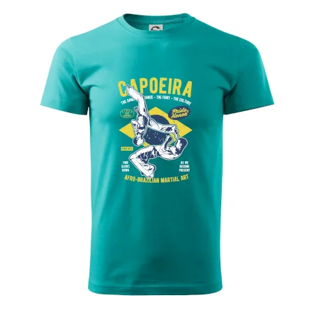 Capoeira  Afro-brazil art