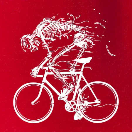 Cyklo kostra