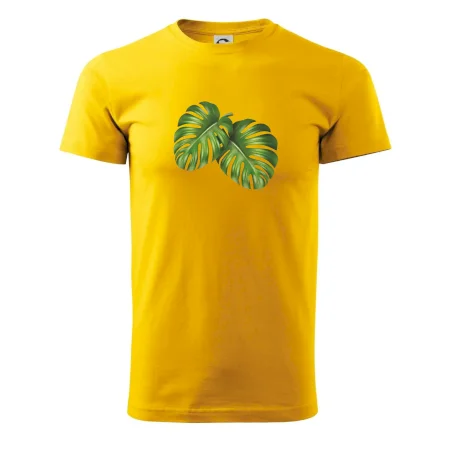 Monstera - dva listy