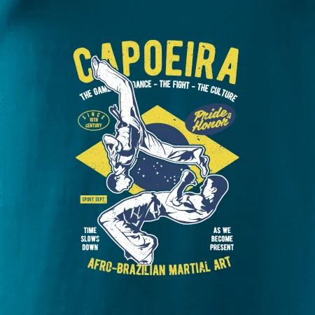 Capoeira  Afro-brazil art