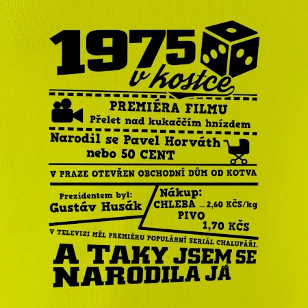 1975 v kostce