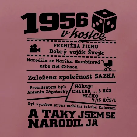 1956 v kostce