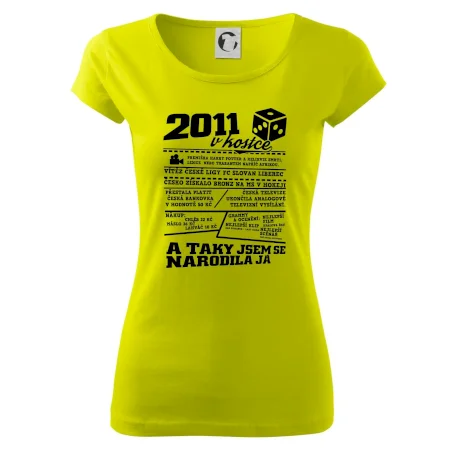 2011 v kostce