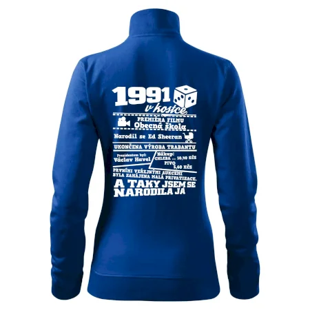 1991 v kostce