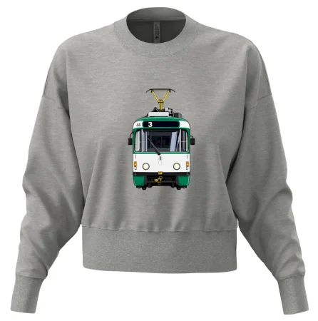 T3R SLF čelo tramvaje linka 3