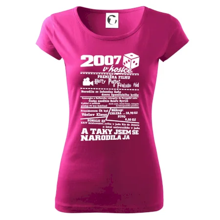2007 v kostce