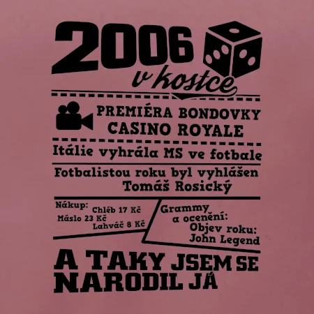 2006 v kostce