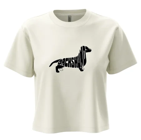 Jezevčík - Dachshund