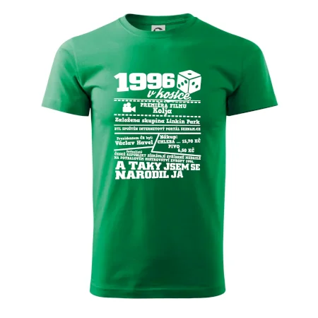 1996 v kostce