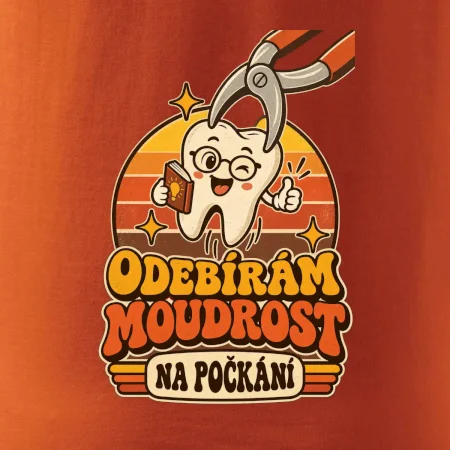 Odebírám moudrost na počkání