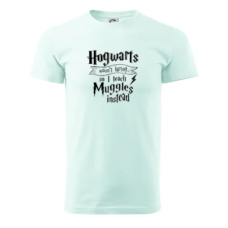 Harry - Hogwarts wasn’t hiring, so I teach Muggles instead