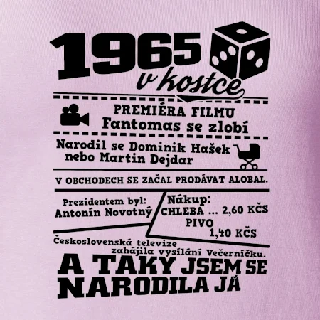 1965 v kostce