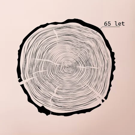 Letokruhy - 65