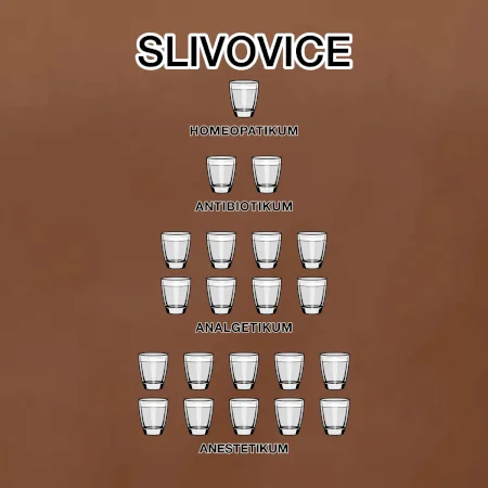 Slivovice počítání (Hana-creative)