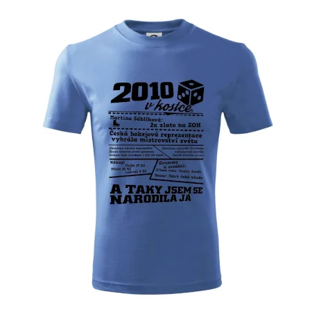 2010 v kostce