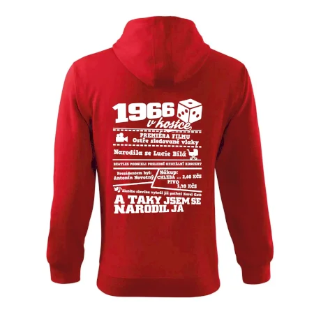 1966 v kostce