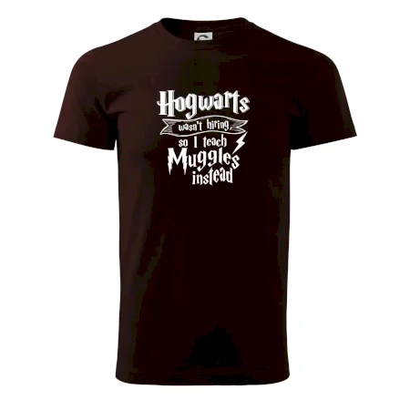 Harry - Hogwarts wasn’t hiring, so I teach Muggles instead
