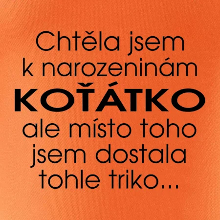 Chtěla jsem dostat k narozeninám koťátko