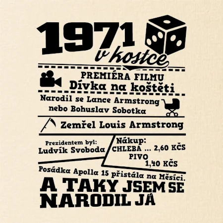 1971 v kostce