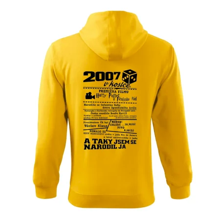2007 v kostce