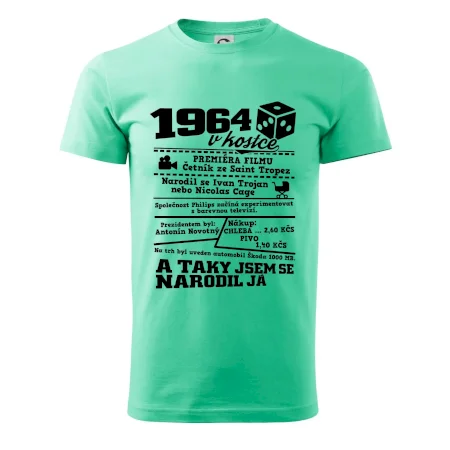 1964 v kostce