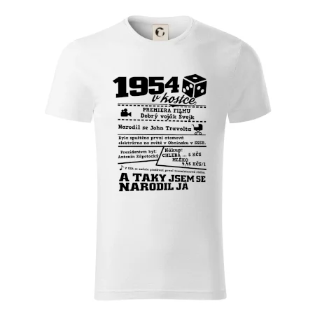 1954 v kostce