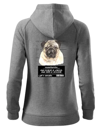 Lump a darebák mopsík