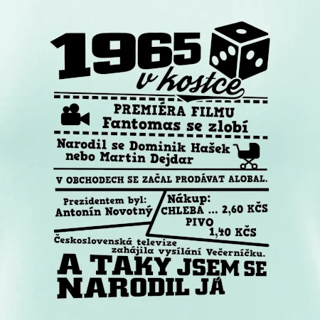 1965 v kostce