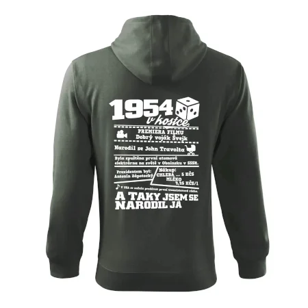 1954 v kostce
