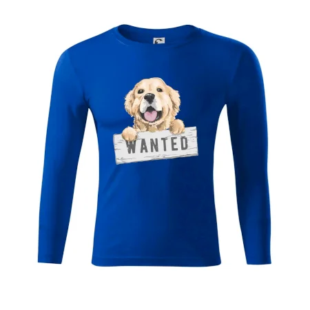 Zlatý retriever - štěně wanted