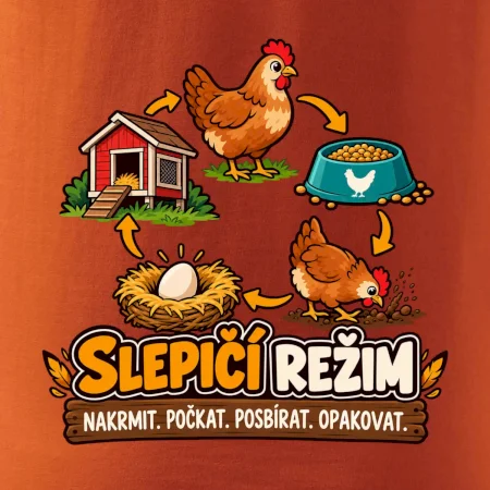 Slepičí režim od krmení po sběr vajec