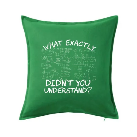 What exactly didnt you understand - physics