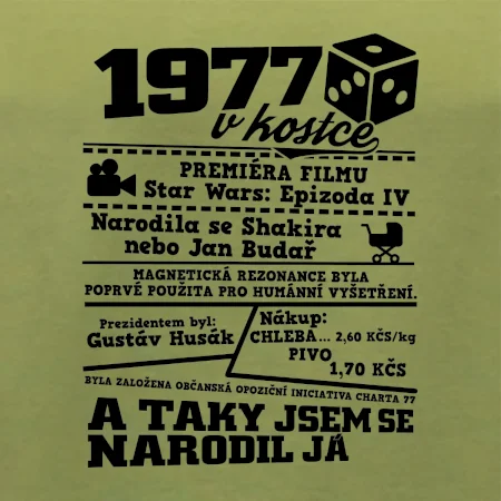 1977 v kostce