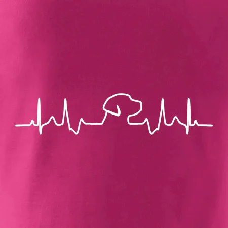 Labrador EKG